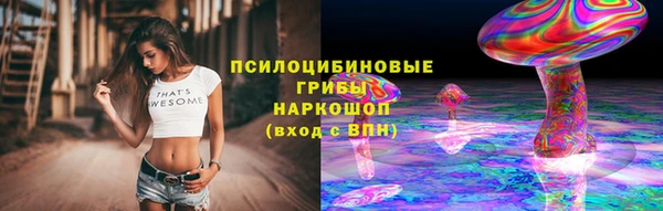 трава Армянск