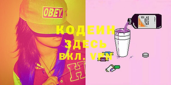 твердый Инсар