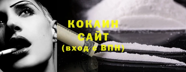 ПСИЛОЦИБИНОВЫЕ ГРИБЫ Арсеньев