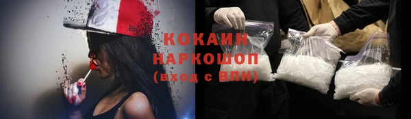гашик Аркадак
