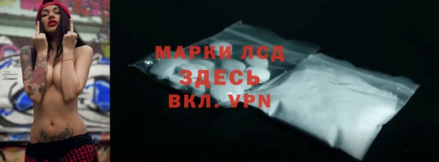 шишки Инта